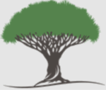 Socotra Capital